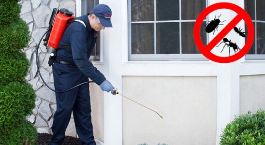 Sarayönü Böcek İlaçlama böcek ilaçlama ve haşere kontrolü — ilaclama-tr.com
